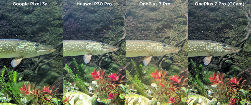 Illustration for article titled Hemos puesto a un inútil a sacar fotos con el Huawei P30 Pro, el OnePlus 7 Pro y el Pixel 3a. Este es el resultado